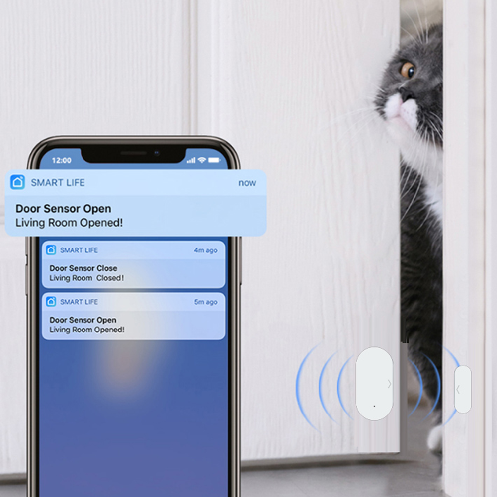 Tuya Zigbee Door Sensor Window - đánh giá và giá Home Security Gate